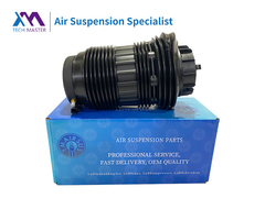 Τεχνολογικός Μάστερ Porsche Panamera πίσωΑριστερά και δεξιά ελατήρια εναέριας ανάρτησης