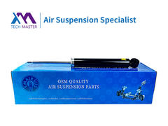 TMAIRSUS Audi TT/A3 οπίσθιος αποσβεστήρας 8J0513030Q