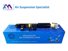 TMAIRSUS Lincoln MKZ οπίσθιος απορροφητής σοκ ASSY 1015620-00-A