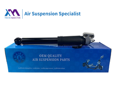 TMAIRSUS Cadillac ATS/CTS Ηλεκτρονικός εξοπλισμός απορροφητή ρύπανσης πίσω 84230453