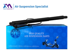 TMAIRSUS Power Liftgate Για BMW X6 E71 E72 2007-2014 51247332697