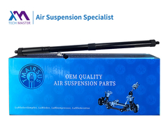 ΤΜΑΙΡΣΟΥΣ Δυναμική θύρα ανύψωσης για Range Rover Sport 2010-2013 LR062078