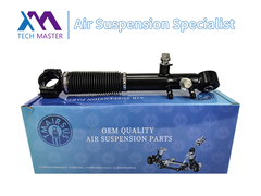 Τεχνολογικός Μάστερ TMAIRSUS οπίσθιος απορροφητής για Lexus GX460 48885-60030