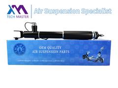 Τεχνολογικός Μάστερ TMAIRSUS Απορροφητής για Lincoln MKT ASH24635