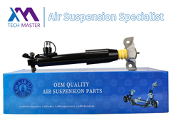 Τεχνολογικός Μάστερ TMAIRSUS Αριστερός απορροφητής συγκρούσεων για Lincoln MKX F2GZ18125Z