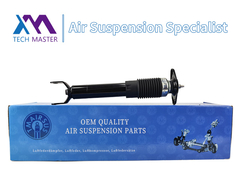 Απορροφητήρας οπίσθιας κίνησης Απορροφητήρας οπίσθιας κίνησης για Cadillac C5 22248830