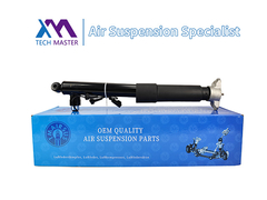 Τεχνολογικός Μάστερ TMAIRSUS Πίσω δεξιά απορροφητή για Lincoln MKC EJ7Z18125E