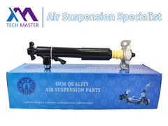 Τεχνολογικός Μάστερ TMAIRSUS Πίσω δεξιά απορροφητή για Lincoln MKT DE9Z18125A