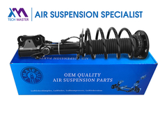 Τεχνολογικός Μάστερ TMAIRSUS Μπροστά δεξιά απορροφητήρα για Lincoln MKX F2GZ-18124-AT