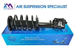 Τεχνικός Μάστερ TMAIRSUS Αριστερός απορροφητής για Lincoln MKZ DG9Z18124B