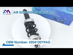 Τεχνολογικός Μάστερ TMAIRSUS Προσωρινός απορροφητής για αριστερό Audi R8 με ADS 420412019AG