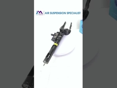 Εικόνα τμήματος του αποσβεστήρα της εμπρόσθιας ανάρτησης αέρα για το BENZ W166 1663201313