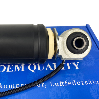 OEM πρότυπο Ναι Επιφάνεια Φινίρισμα Αυτοκίνητο Αφοσφαιριστής αέρα για πρότυπα
