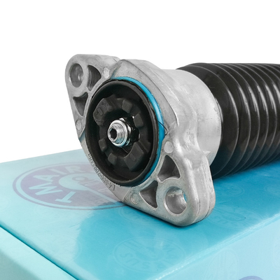 Απορροφητής κρούσης πίσω από το αέριο για W253 Air Spring Suspension Shock 2533204500 2533205500