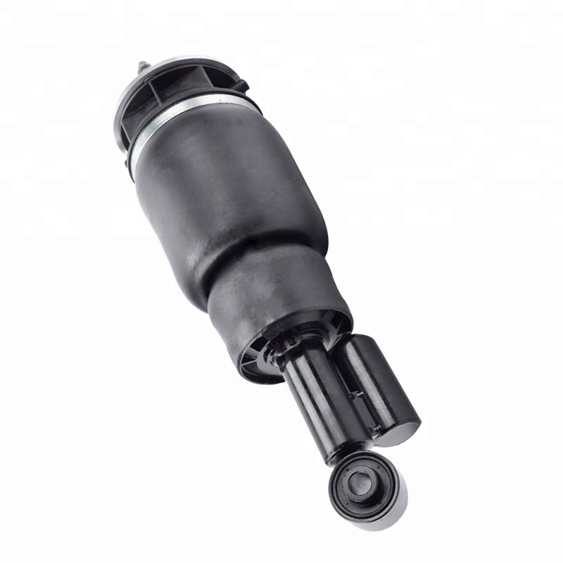 Ford Expedition Air Suspension Γόνατο εμπρός αριστερά δεξιά Αμορτισέρ 6L1Z18A099DA 3L1Z18125AB