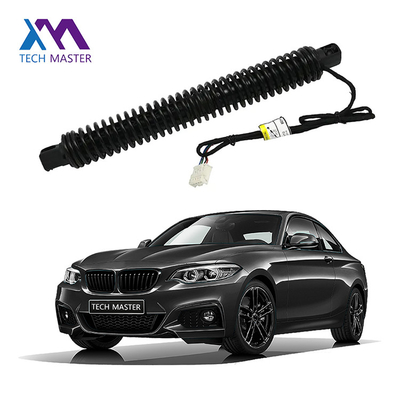 BMW Spindle Drive για 7X0LI F02 Ηλεκτρική στήριξη 51247185714